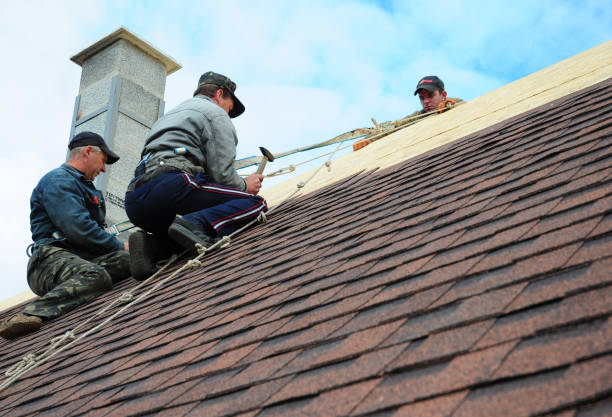Best Local Roofing Companies  in Blue Ridge, VA